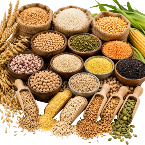 Grains